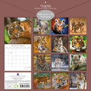 Tigers - 2025 Square Wall Calendar Pets Animals 16 Months Premium Planner Gift