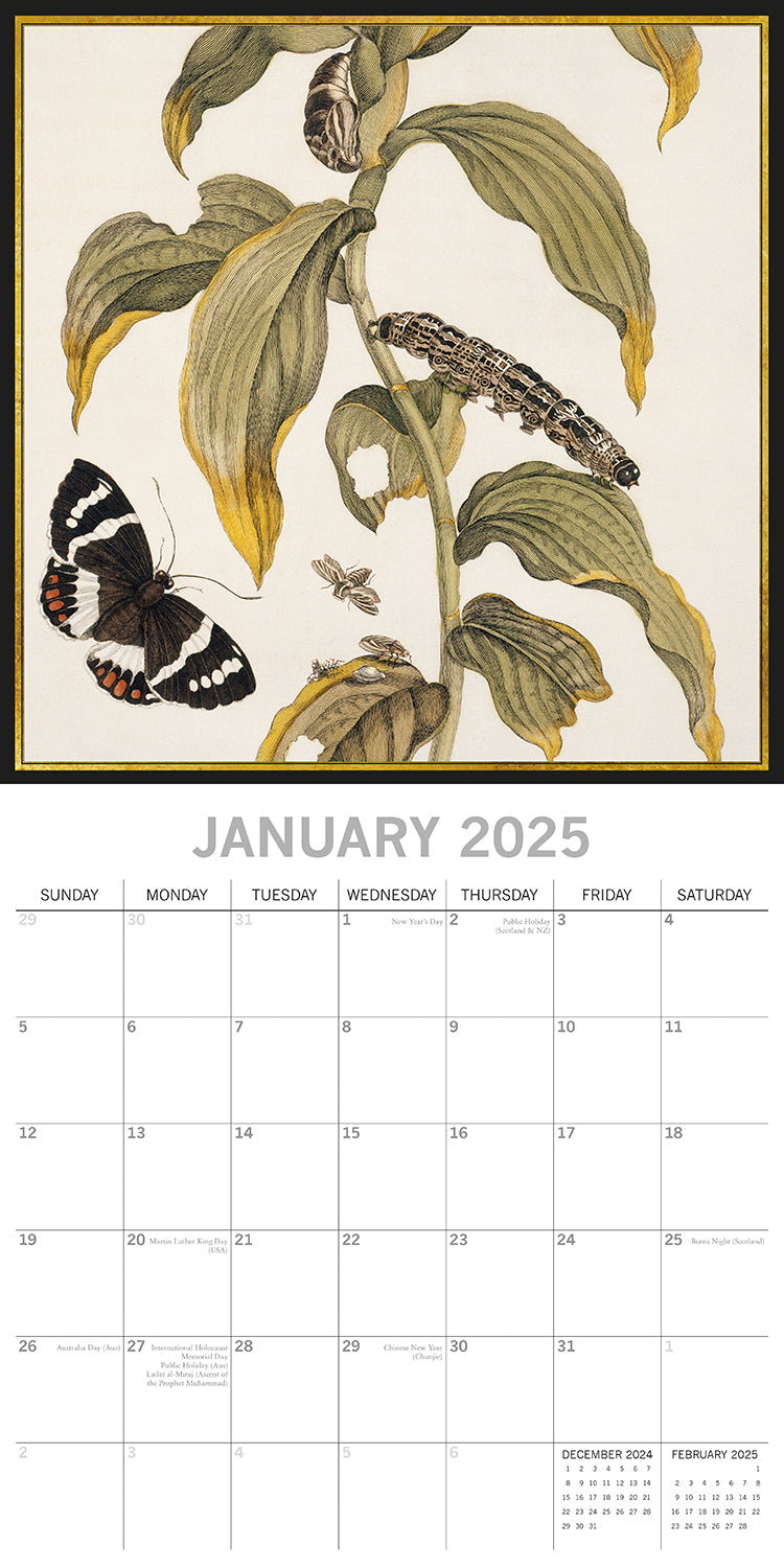 Insects - 2025 Square Wall Calendar Arts 16 Months Premium Planner Gift