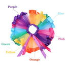 Adult Girl Rainbow Tutu Skirt Princess Dressup Party Costume Ballet Dancewear - L