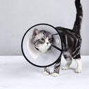 Pet Cat Dog Protective Cone Collar Elizabethan E Collar Wound Healing Recovery - Large
