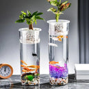 Hydroponic Plant Vase Cylindrical Straight Design Fish Tank for Home Decor - 25cmx10cm
