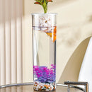 Hydroponic Plant Vase Cylindrical Straight Design Fish Tank for Home Decor - 25cmx10cm