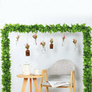 12 X 2M Artificial Ivy Vine Fake Foliage Flower Hanging Leaf Garland Plant Party - Grape Leaves