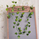 12 X 2M Artificial Ivy Vine Fake Foliage Flower Hanging Leaf Garland Plant Party - Grape Leaves