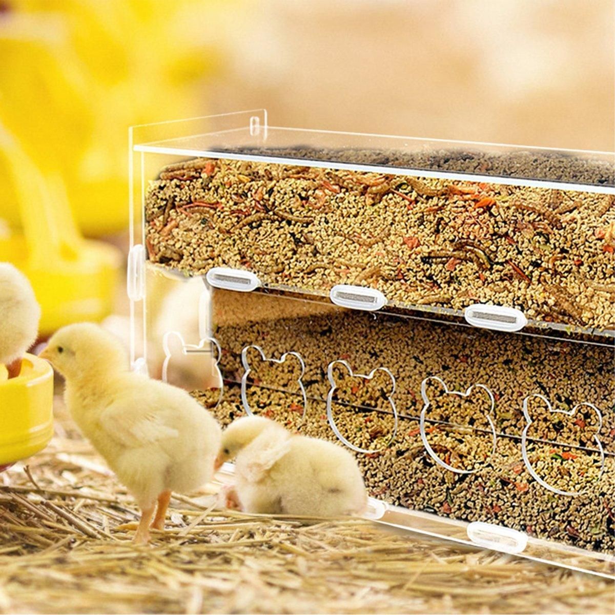 Automatic Acrylic Chicken Feeder Rutin Pet Supplies for Poultry Feeding System - 5 Holes