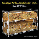 Automatic Acrylic Chicken Feeder Rutin Pet Supplies for Poultry Feeding System - 5 Holes