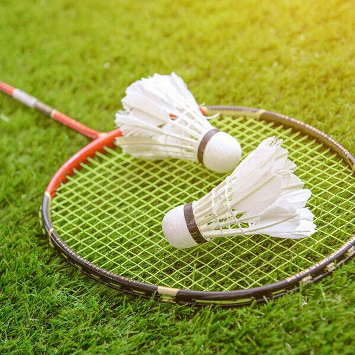 12 Pcs Badminton Shuttlecocks Durable Gooes Feather Badminton Ball For Training