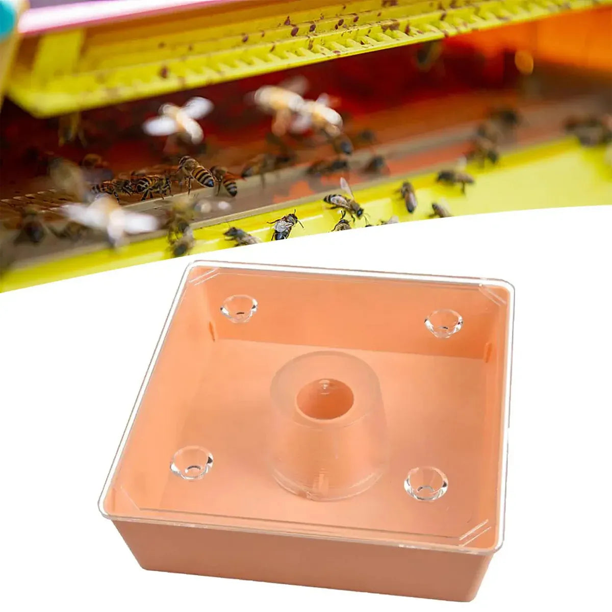 2PCS Bee Feeder Square Water Feeder Beehive Drinking Tool Plastic Beekeeping