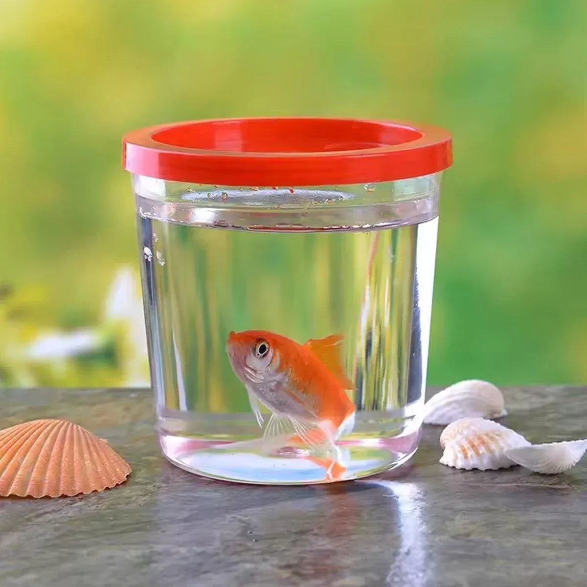20pcs Mini Betta Fish Cup with Lid Portable Small Plastic Jellyfish Tank Cup