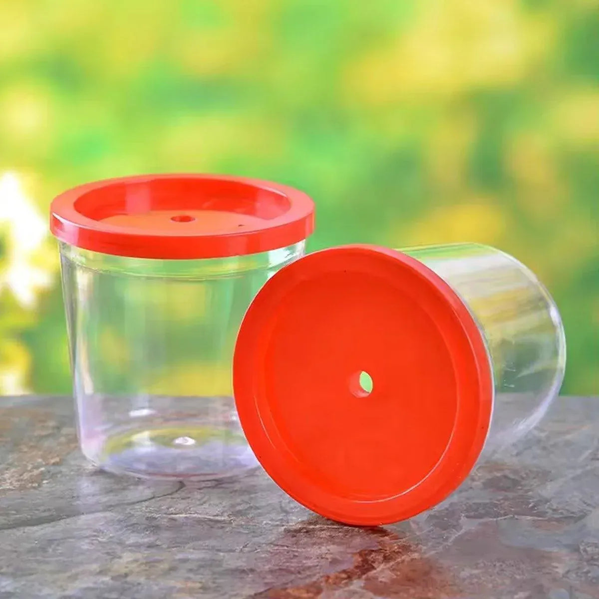 20pcs Mini Betta Fish Cup with Lid Portable Small Plastic Jellyfish Tank Cup