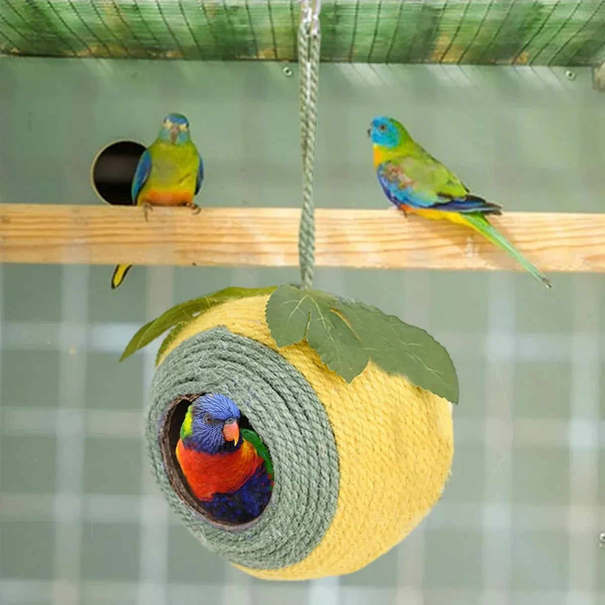 Bird Nest Parrot Nest Coconut Shell Braided Twine Colourful Cage Hanging Bed - White-Green-Screw Model