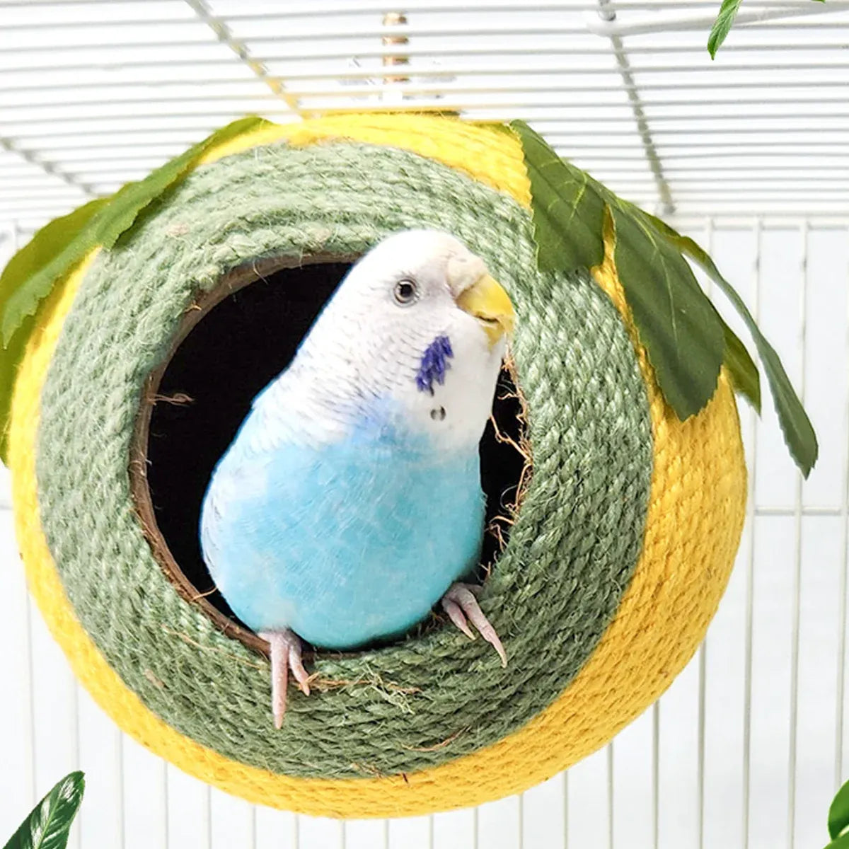 Bird Nest Parrot Nest Coconut Shell Braided Twine Colourful Cage Hanging Bed - White-Green-Screw Model