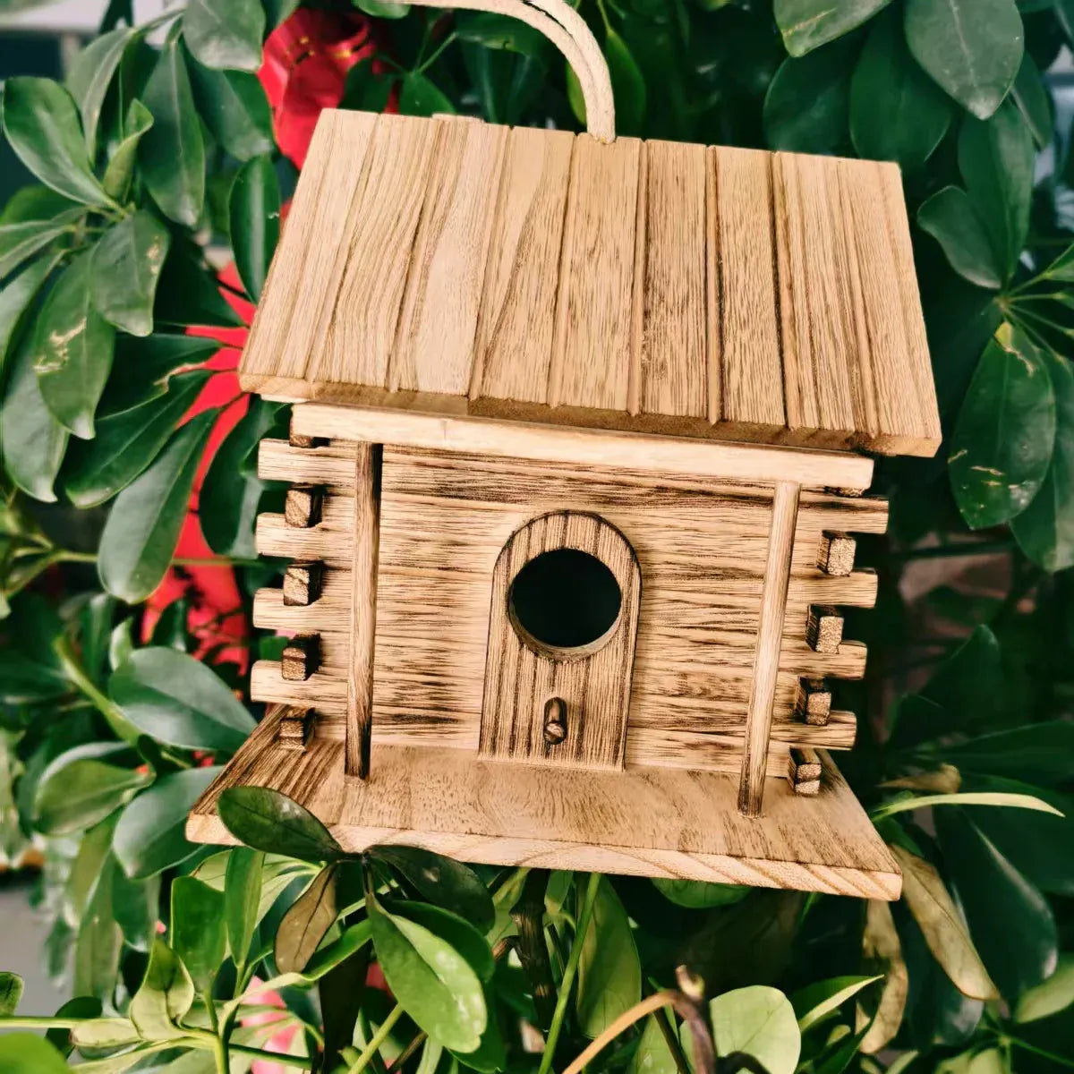 Wooden Bird House Outdoor Nest Breeding Box Pet Bird Shelter Hanging Cage
