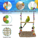 Parrot Hammock Swing Toy with Colourful Chain Double Swing Bird Cage Play