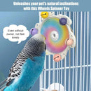 Parrot Interactive Educational Enrichment Toy Bird Play Activity
