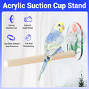 Parrot Acrylic Suction Cup Perch Pet Toy Non Slip for Small Medium Parrots