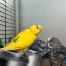 2X 4/5/6Cm Parrot Pet Stainless Steel Food Water Bowl Bird Feeder Crate Cage - 4CM*2PCS