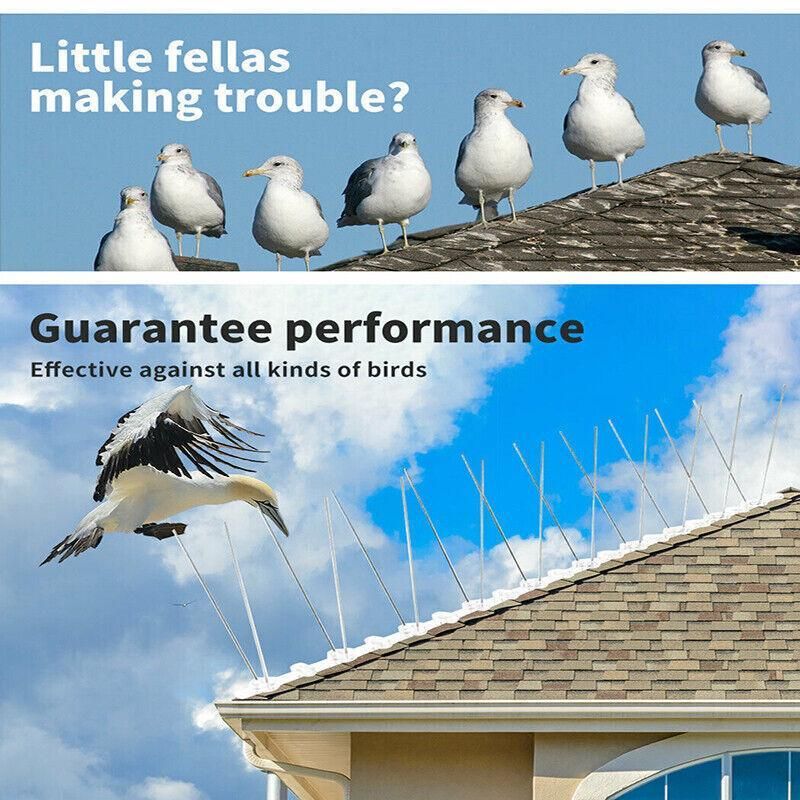 Lambu 10X 50Cm Anti Bird Spikes Pigeon Deterrent Repellent Bird Sting Stainless - 20 Groups
