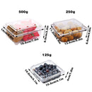 100pcs Transparent Plastic Fruit Box with Tape Cover Storage Packaging for Fruit - 250g