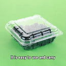 100pcs Transparent Plastic Fruit Box with Tape Cover Storage Packaging for Fruit - 250g