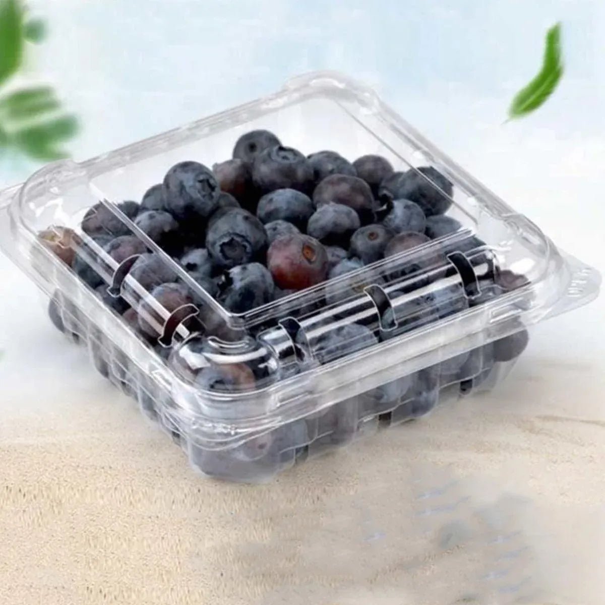 100pcs Transparent Plastic Fruit Box with Tape Cover Storage Packaging for Fruit - 250g