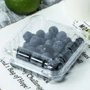 100pcs Transparent Plastic Fruit Box with Tape Cover Storage Packaging for Fruit - 250g