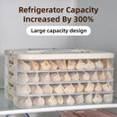 4 Layer Dumpling Box Kitchen Refrigerator Storage Container Frozen Food Crisper
