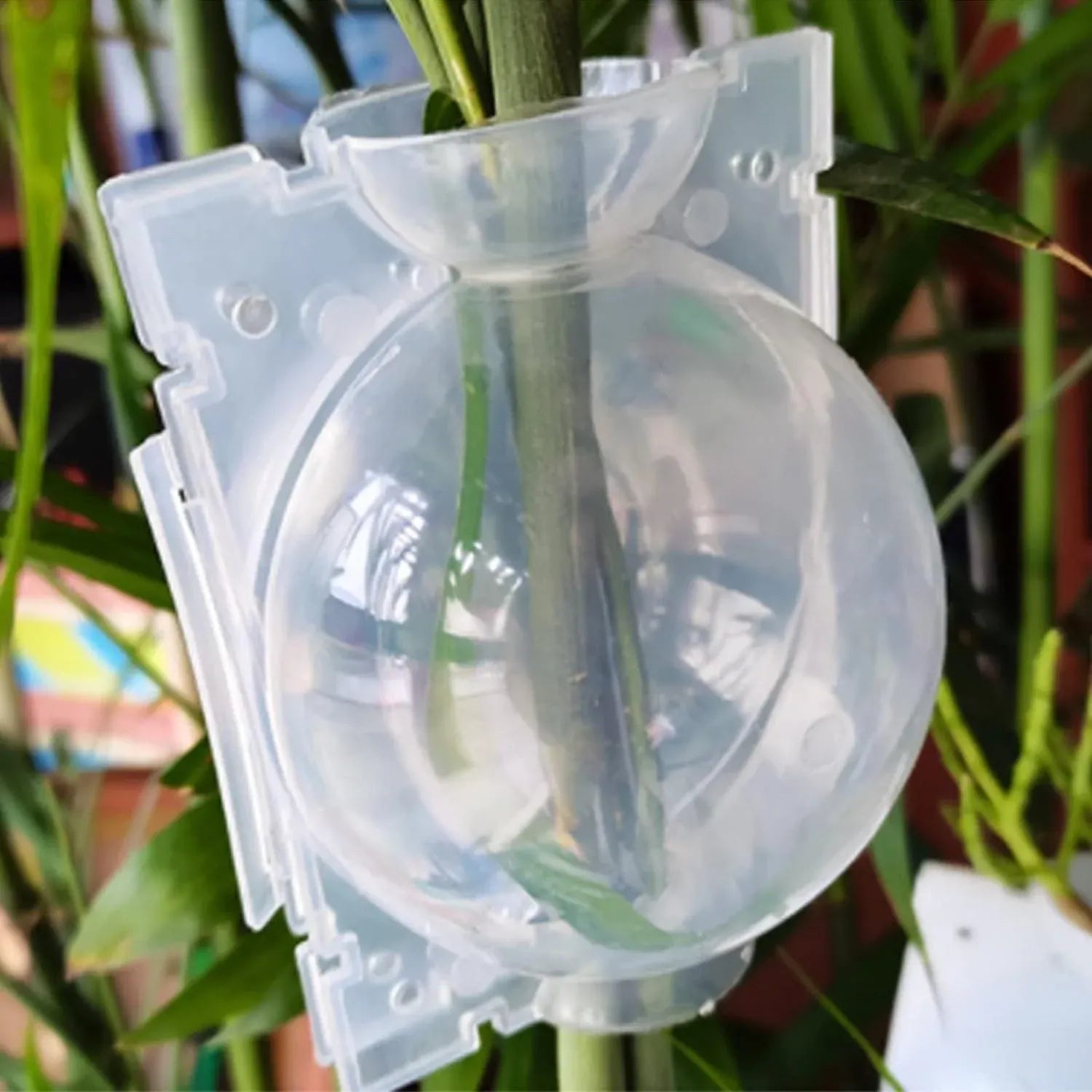 50pcs Plant Rooting Device High Pressure Grafting Box for Seedling Branch Garden - Clear S-50PCS