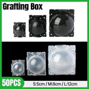 50pcs Plant Rooting Device High Pressure Grafting Box for Seedling Branch Garden - Clear M-50PCS