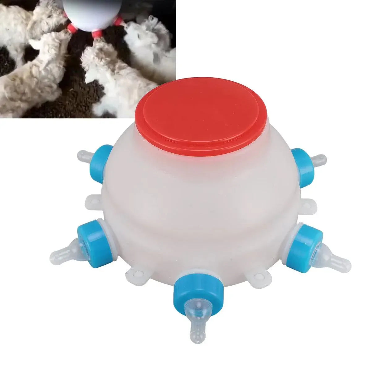Livestock Puppy Feeder Milk Jug Eating Bucket with 6Spouts Small Capacity Nurser