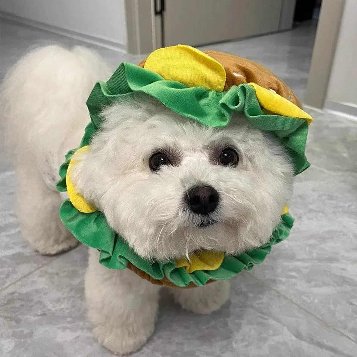 Cute Pet Hamburger Headgear Headdress for Dogs Cats Fun Costume Pet Accessory - Medium