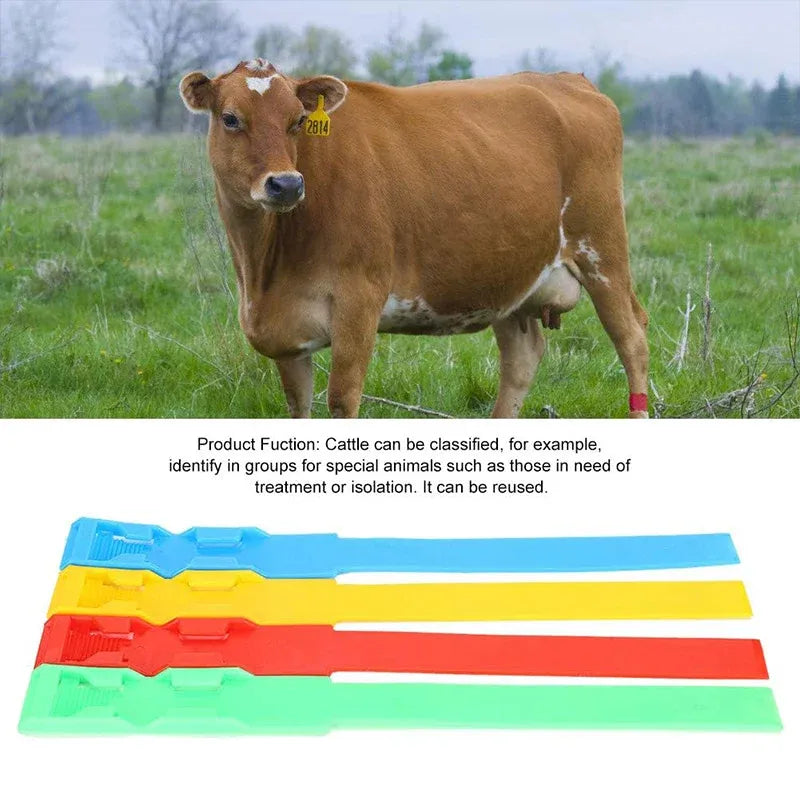 Cow Identification Bands 20PCS Adjustable Foot Rings Multi Colour Tags Livestock - Blue