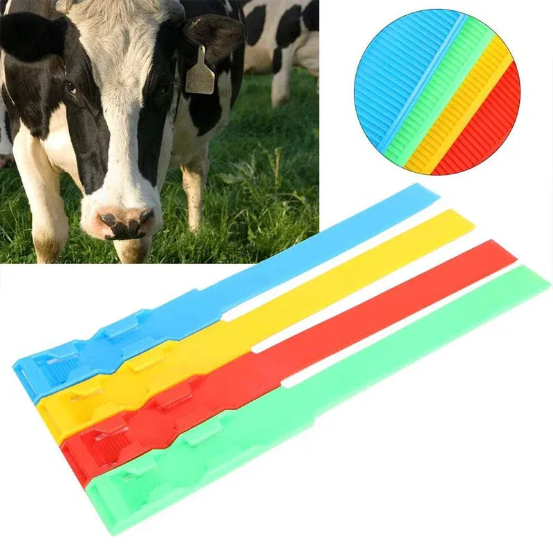 Cow Identification Bands 20PCS Adjustable Foot Rings Multi Colour Tags Livestock - Blue