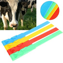 Cow Identification Bands 20PCS Adjustable Foot Rings Multi Colour Tags Livestock - Blue
