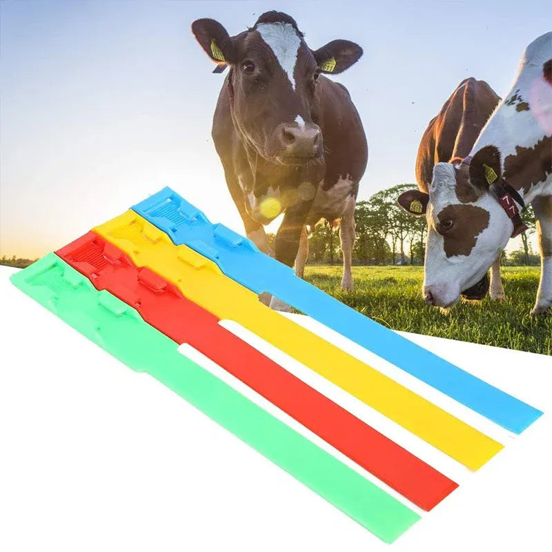 Cow Identification Bands 20PCS Adjustable Foot Rings Multi Colour Tags Livestock - Blue