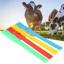 Cow Identification Bands 20PCS Adjustable Foot Rings Multi Colour Tags Livestock - Blue