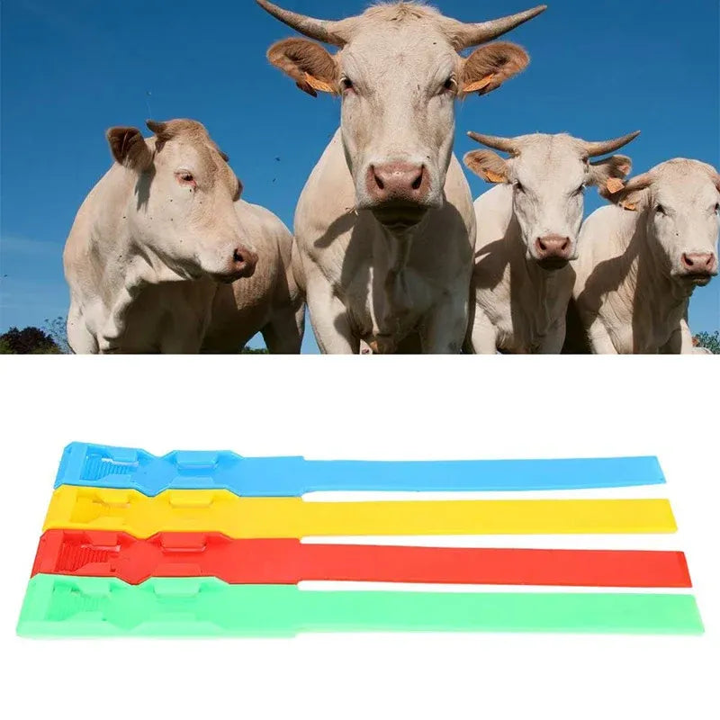 Cow Identification Bands 20PCS Adjustable Foot Rings Multi Colour Tags Livestock - Blue