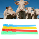 Cow Identification Bands 20PCS Adjustable Foot Rings Multi Colour Tags Livestock - Yellow