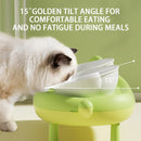 Cat Bowl Ceramic Double Bowl Non Slip Food Safe Durable for Dry Wet Food Water