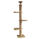 Cat Toy Cat Climbing Frame Floor Standing Multi Functional Cat Tree Pet Furniture - Simple Cat Tree