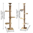 Cat Toy Cat Climbing Frame Floor Standing Multi Functional Cat Tree Pet Furniture - Simple Cat Tree
