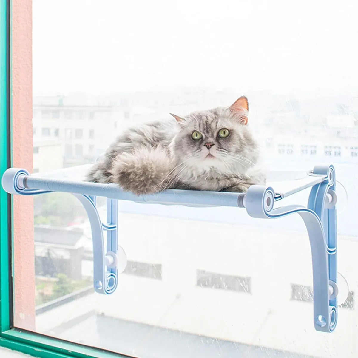 Cat Hammock for Wall Window Glass Suction Cup Style Comfortable Space Saving - Yellow