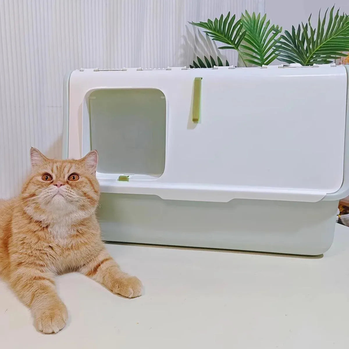 Large Fully Enclosed Cat Litter Box with Lid Odor Control Litter Pan for Cats - Yellow