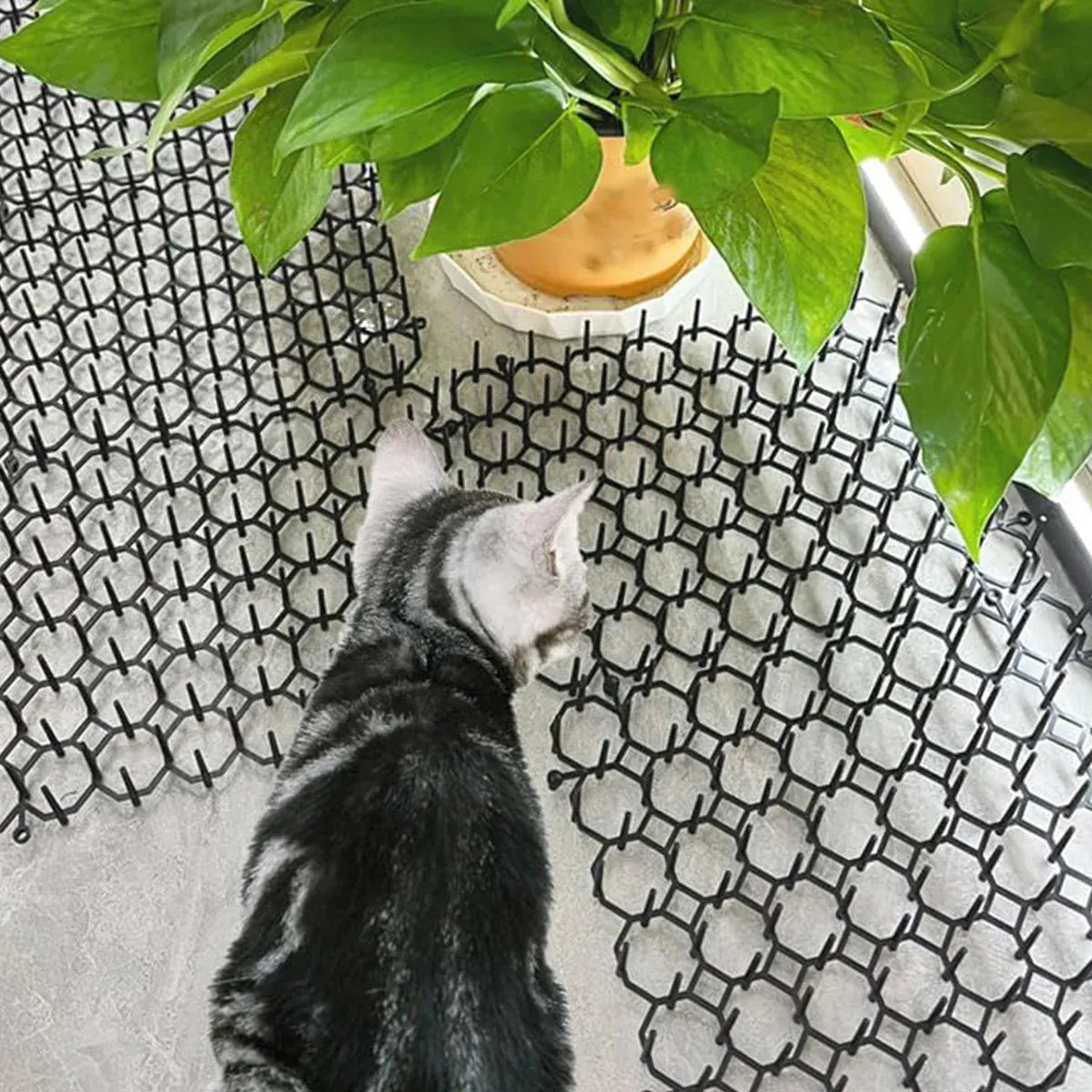 24PCS Cat Deterrent Spike Mat for Garden Balcony Fence Sofa
