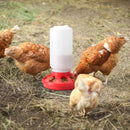 Chicken Feeder Waterer Set Poultry Kettle With Feed Bucket Farm Coop Feeding Use - Green