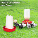 Chicken Feeder Waterer Set Poultry Kettle With Feed Bucket Farm Coop Feeding Use - Green