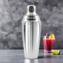 Stainless Steel Cocktail Shaker Decanter and Shaker For Home Bar Mixing Drinks
