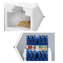 12/24PCS Clipsal Compatible Style CAT6 RJ45 8P8C Network Data Jack Mech Insert - 12PCS