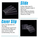 100set Microscope Slide Coverslips for Laboratory Use Glass Slides Research Tool