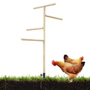 Chicken Climbing Ladder Rack Play Sleep Stand for Poultry Rabbit Small Animal